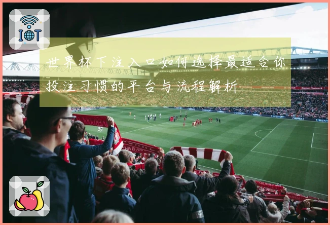 世界杯下注入口如何选择最适合你投注习惯的平台与流程解析