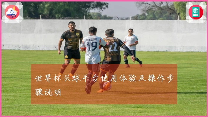 世界杯买球平台使用体验及操作步骤说明
