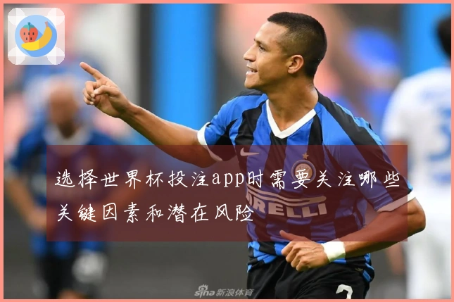选择世界杯投注app时需要关注哪些关键因素和潜在风险