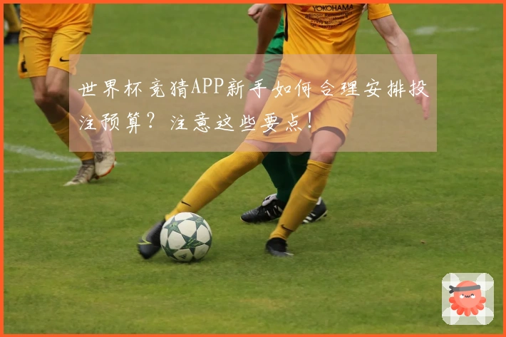 世界杯竞猜APP新手如何合理安排投注预算？注意这些要点！