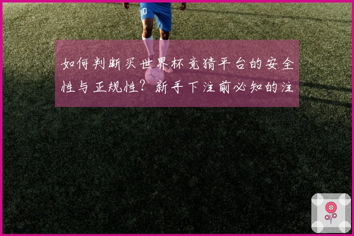 如何判断买世界杯竞猜平台的安全性与正规性？新手下注前必知的注意事项