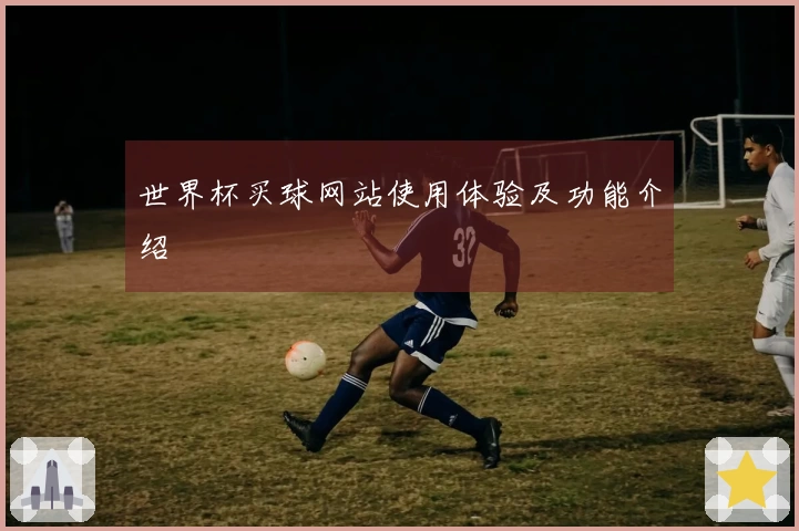 世界杯买球网站使用体验及功能介绍