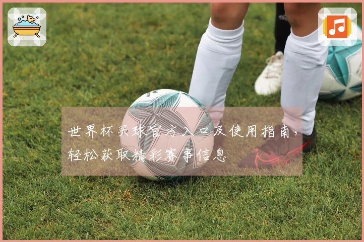 世界杯买球官方入口及使用指南，轻松获取精彩赛事信息