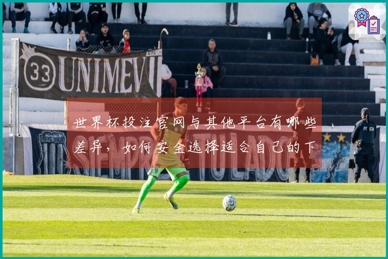 世界杯投注官网与其他平台有哪些差异，如何安全选择适合自己的下注方式