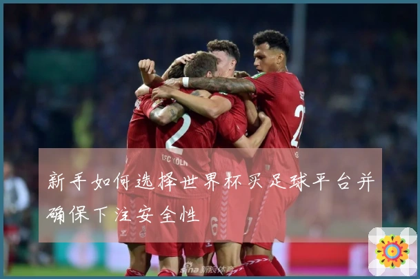 新手如何选择世界杯买足球平台并确保下注安全性