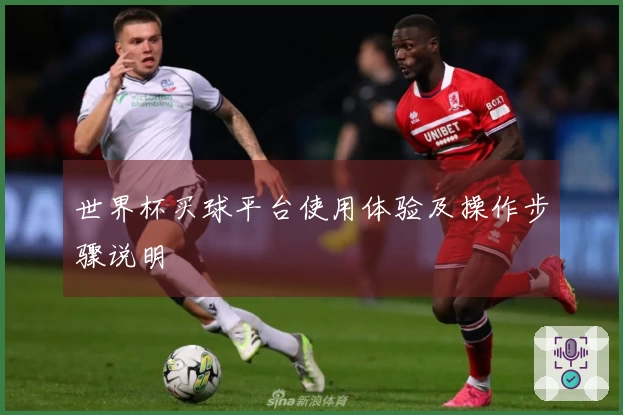 世界杯买球平台使用体验及操作步骤说明