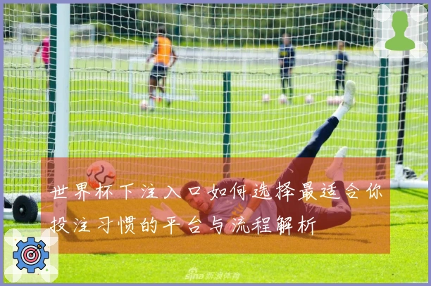 世界杯下注入口如何选择最适合你投注习惯的平台与流程解析