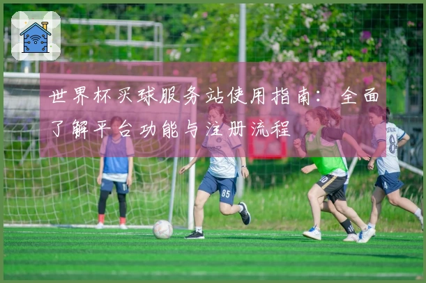 世界杯买球服务站使用指南:全面了解平台功能与注册流程