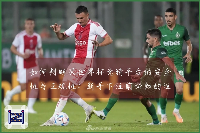如何判断买世界杯竞猜平台的安全性与正规性？新手下注前必知的注意事项