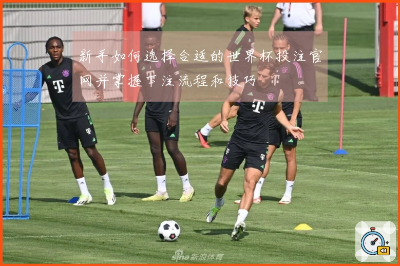 新手如何选择合适的世界杯投注官网并掌握下注流程和技巧