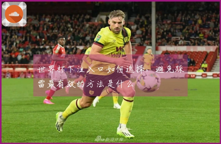 世界杯下注入口如何选择，避免踩雷最有效的方法是什么