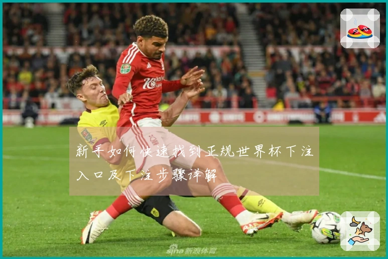 新手如何快速找到正规世界杯下注入口及下注步骤详解